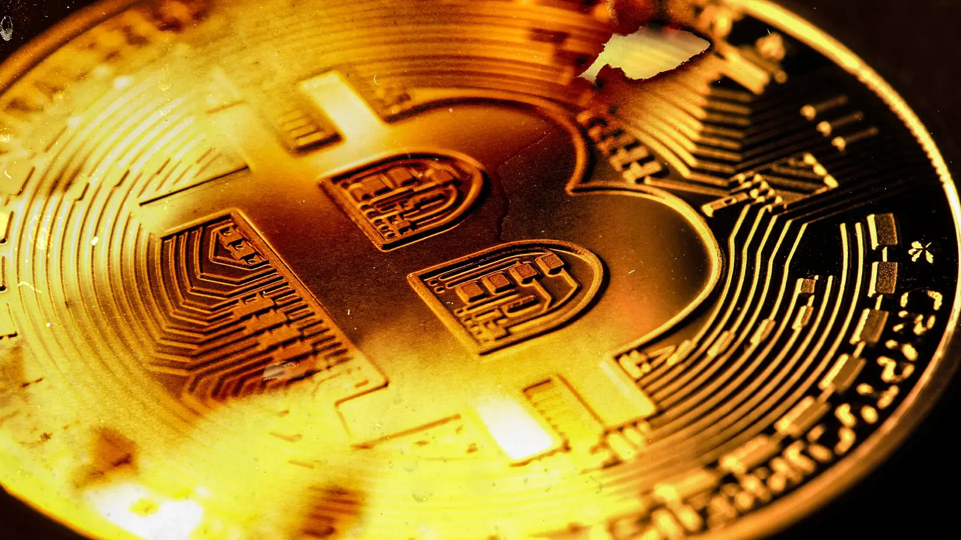 Bitcoin could fall victim to quantum computers sooner than expected. Now crypto investors are turning to these alternative coins