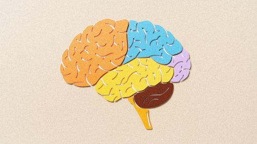 How to boost your mental fitness for a healthier brain