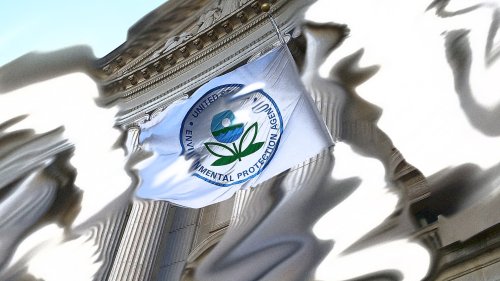 Trump’s team scrubbed environmental pages from the internet. This group is bringing them back to life