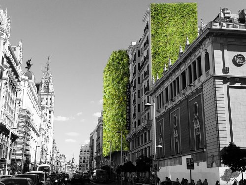 Madrid Is Covering Itself In Plants To Help Fight Rising Temperatures