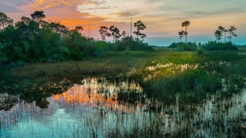 South Florida gets its drinking water from the Everglades—but it's increasingly under threa