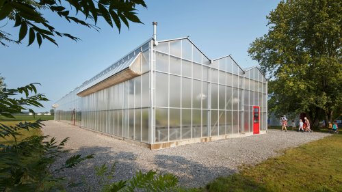 This Michigan greenhouse takes a whole new approach to 'farm-to-table'