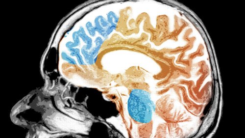 Neuroscience  cover image