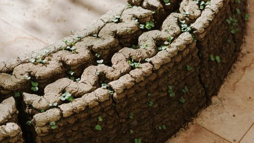 These 3D-printed dirt walls grow a garden when you water them