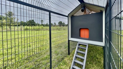 The smart home of the future is here—and it’s for chickens