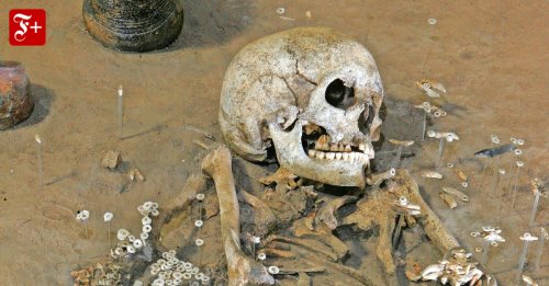 Archäogenetik: Multikulti schon in der Steinzeit