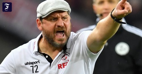Trainer des 1. FC Köln: Baumgarts Brüller ist der Fußball-Spruch des Jahres