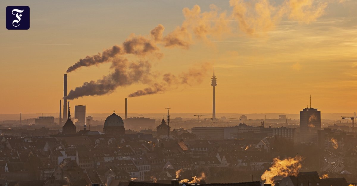 Wirtschaftsprüfer fordern Entlastung von Unternehmen