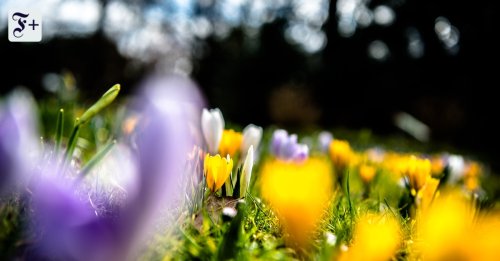 Planen, säen, ernten: Das Gartenjahr auf einen Blick