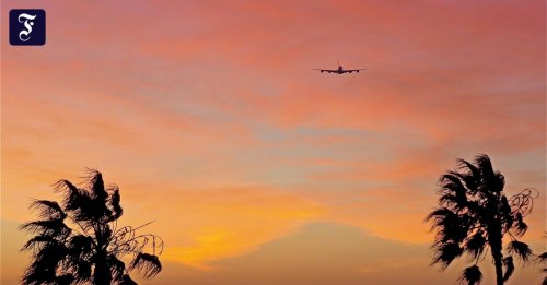 Airlines, Aircrafts & Airports cover image
