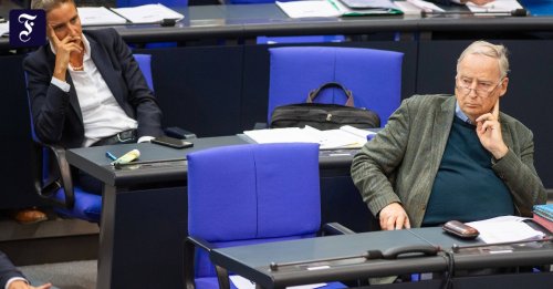 Interne Chats im Bundestag: Die AfD ist ein Trümmerhaufen