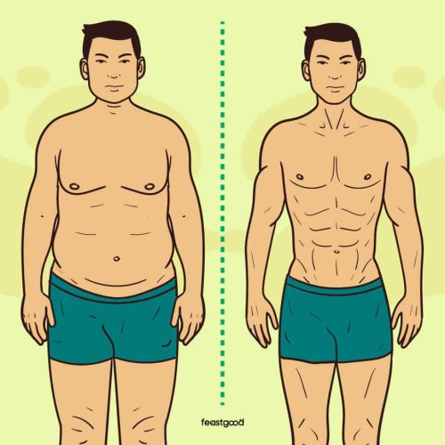 The 3 Best Diets for Weight Loss and Overall Health, According to Experts - FeastGood.com