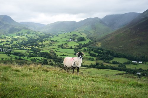 In the Heart of the Country: Photos Capture the Beauty of Cumbria, England