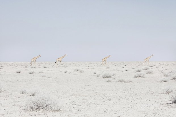 The Astonishing Vastness of Desert Landscapes, Photographed Around the World