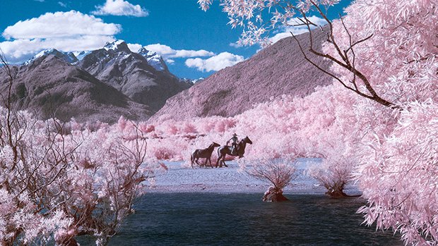 These Photos of the South Island Are Straight from a Dream