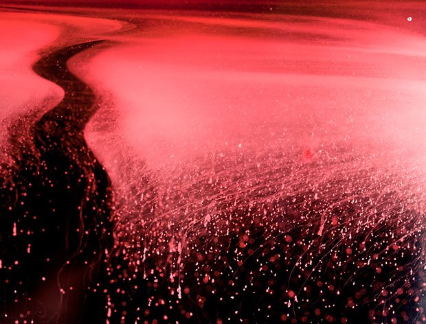 Artist Uses Her Menstrual Blood to Create Beautiful Abstract Photographs