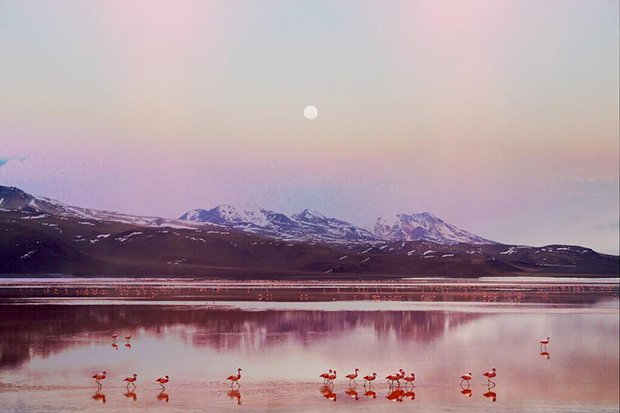 Otherworldly Photos from the World’s Largest Salt Flat