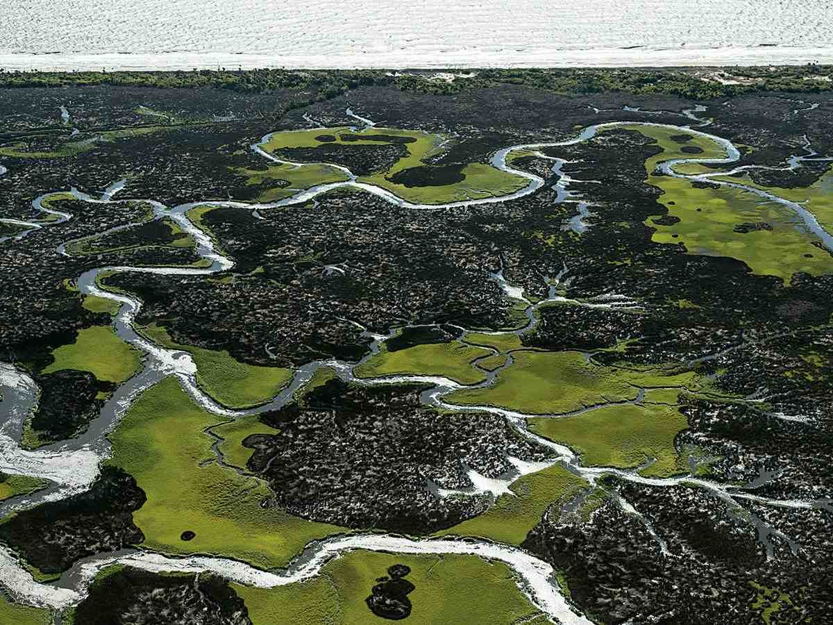 Examining the Impact of Climate Change On Coastal America