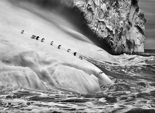‘Genesis’ is Photographer Sebastião Salgado’s ‘Love Letter to the Planet’
