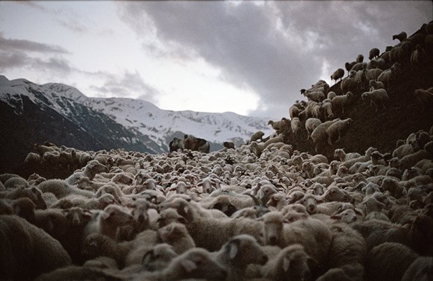 Russian photographer Dmitry Gomberg gives us a bucolic view of life in rural Georgia with his work The Shepherd’s Way