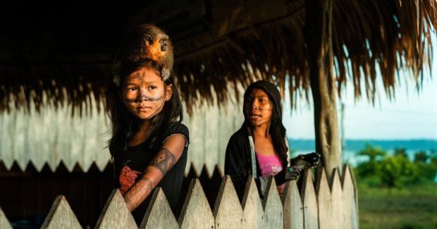 A Portrait of the Amazon on the Brink of Catastrophic Change