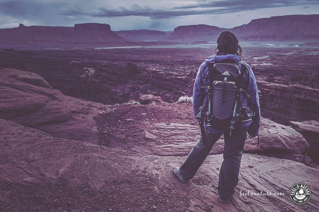 feel4nature Blog cover image