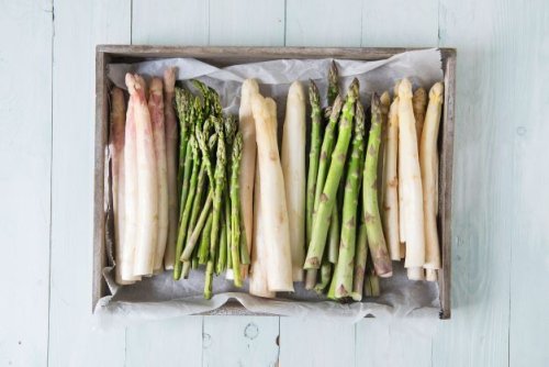 Spargel-Wissen