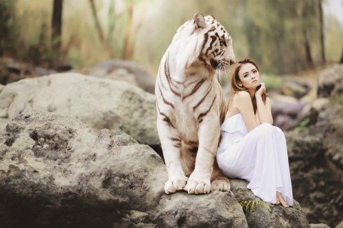 The Hidden Dangers of Exotic Cat Ownership
