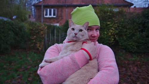 How Do Cats Truly Choose Their Favorite Human in a Multi-Person Home?