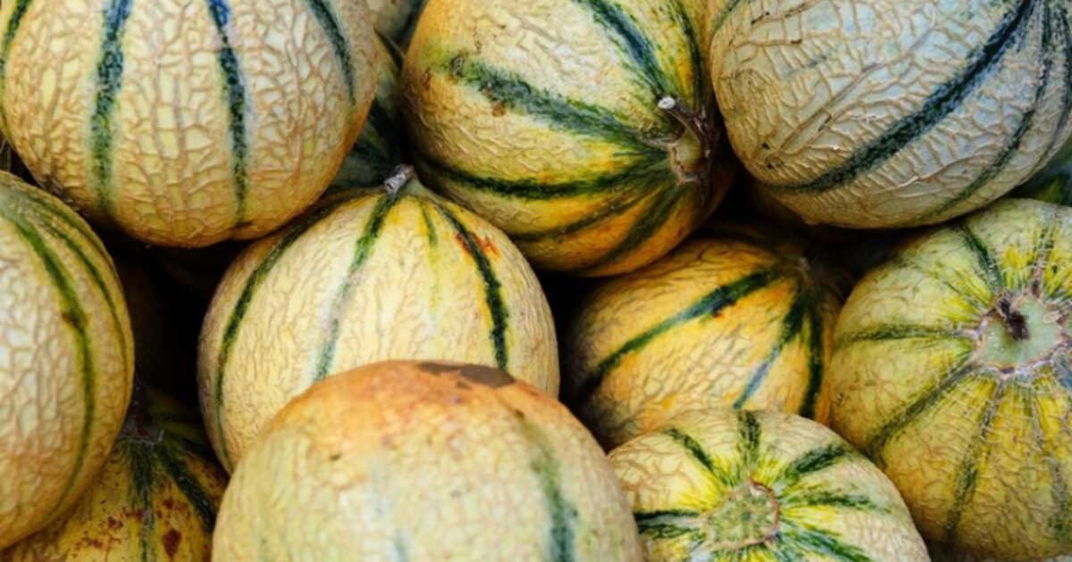 Attention rappel de melons partout en France : 2 marques concernées par un dépassement de pesticides