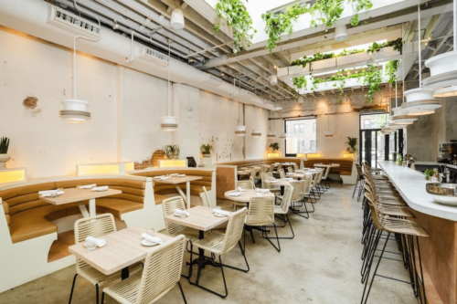 33 Glorious Things To Do In Greenpoint, Brooklyn