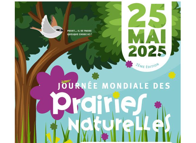 25 mai 2025 : fêtons la Journée mondiale des prairies naturelles !