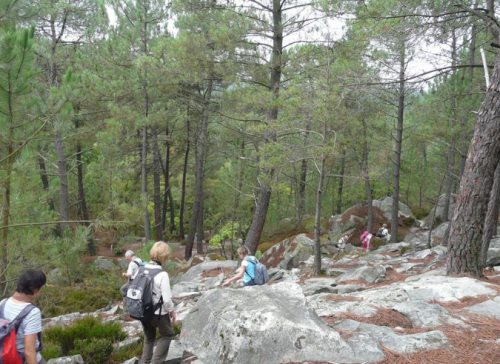 Les secrets de la forêt de Fontainebleau