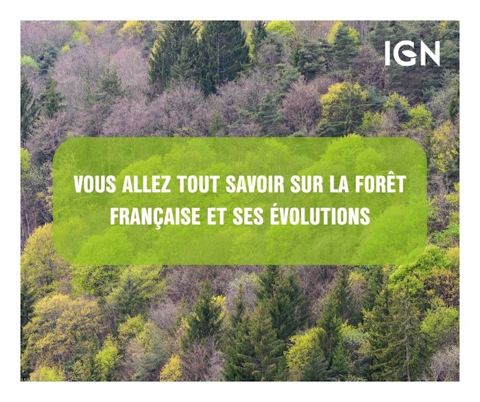 Connaissez-vous les forêts françaises ?