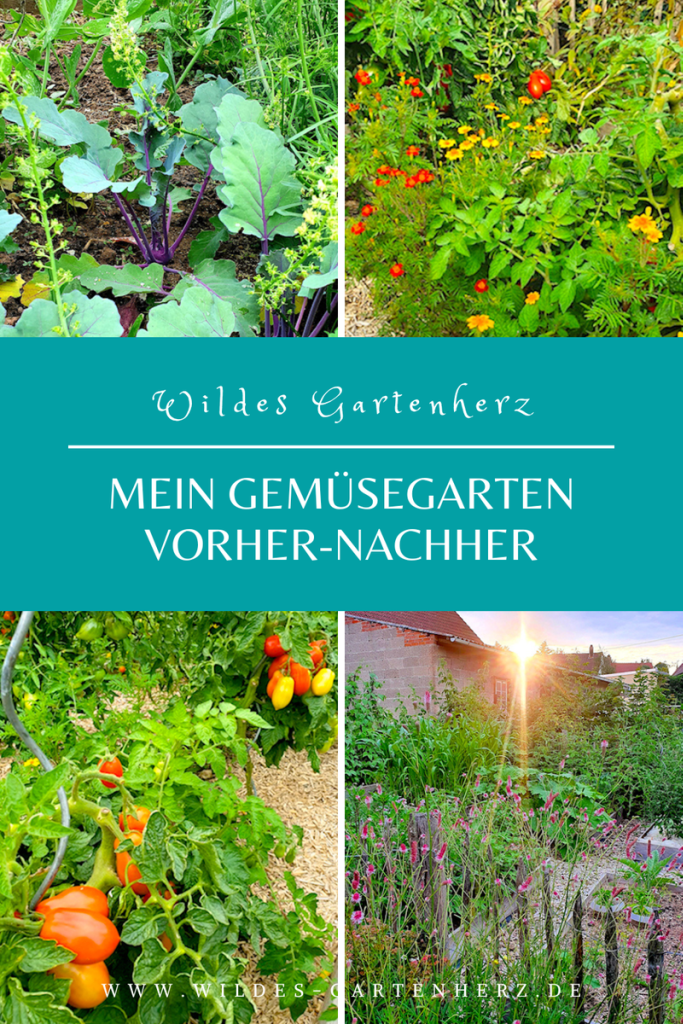 Haus & Garten, Wohnen & Natur - cover