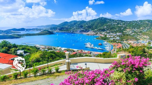 Traveling With A Timeshare - cover
