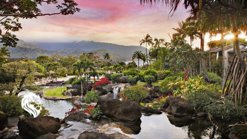 Owning A Timeshare With Top Brands - cover