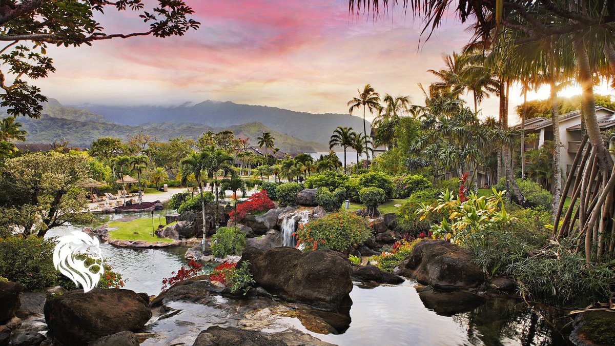 Owning A Timeshare With Top Brands cover image