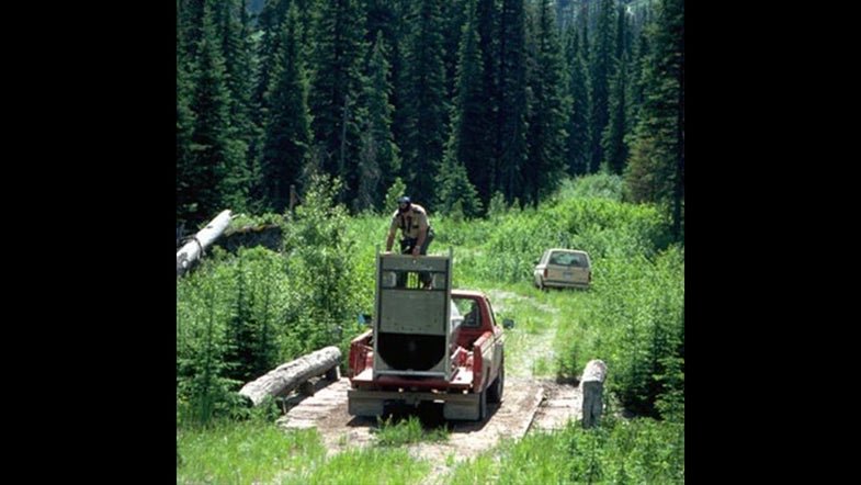 The fatal Montana Grizzly Bear attack caught on camera - cover