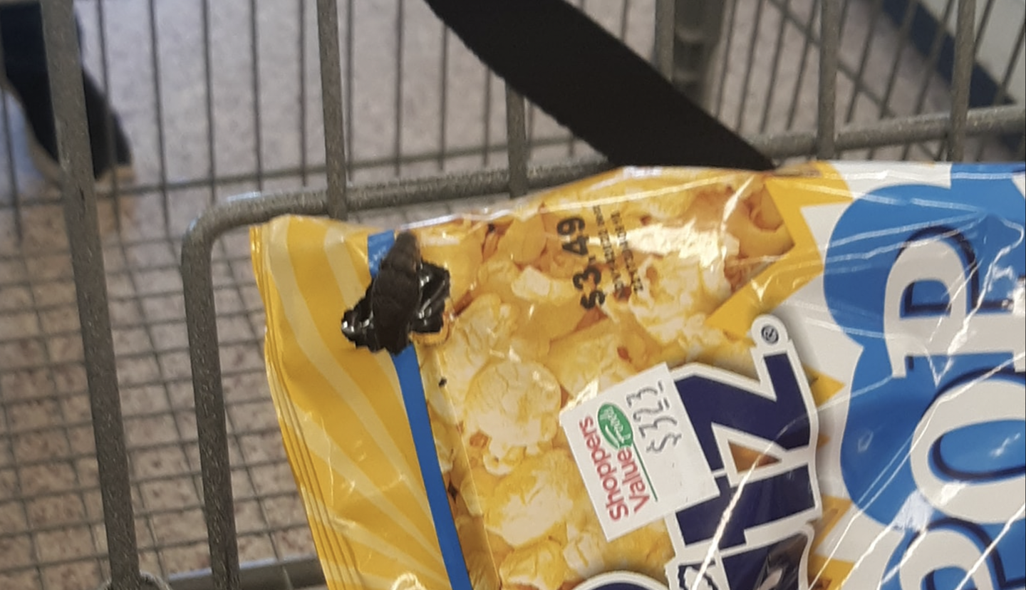 Virginia Woman Finds Live Snake in Bag of Popcorn at the Grocery Store