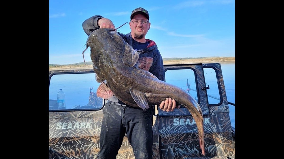 Angler Catches 67-Pound, 8-Ounce South Dakota State Record Flathead Catfish