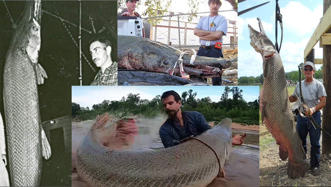 Gar-Gantuans: 10 of the Biggest Alligator Gar Ever Caught
