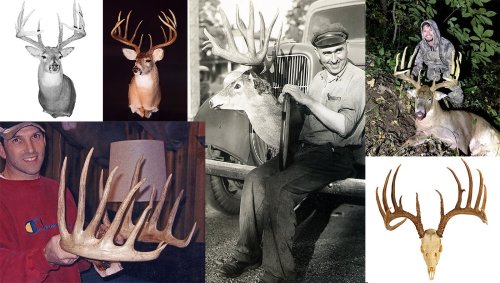 The Biggest B&C Record Whitetail Deer From Every State | Flipboard