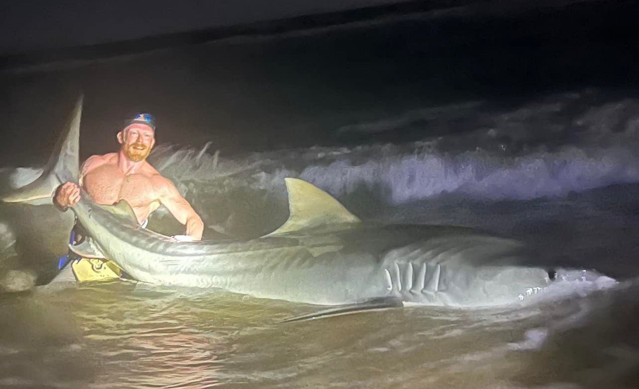 Texas Angler Catches Massive 12.5-Foot Tiger Shark from the Beach