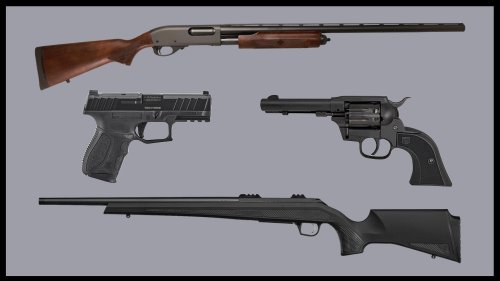 11 Budget Rifles, Shotguns, and Handguns From the 2022 SHOT Show