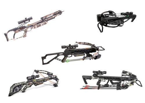 Bargain Hunting: The Best Crossbows for the Money
