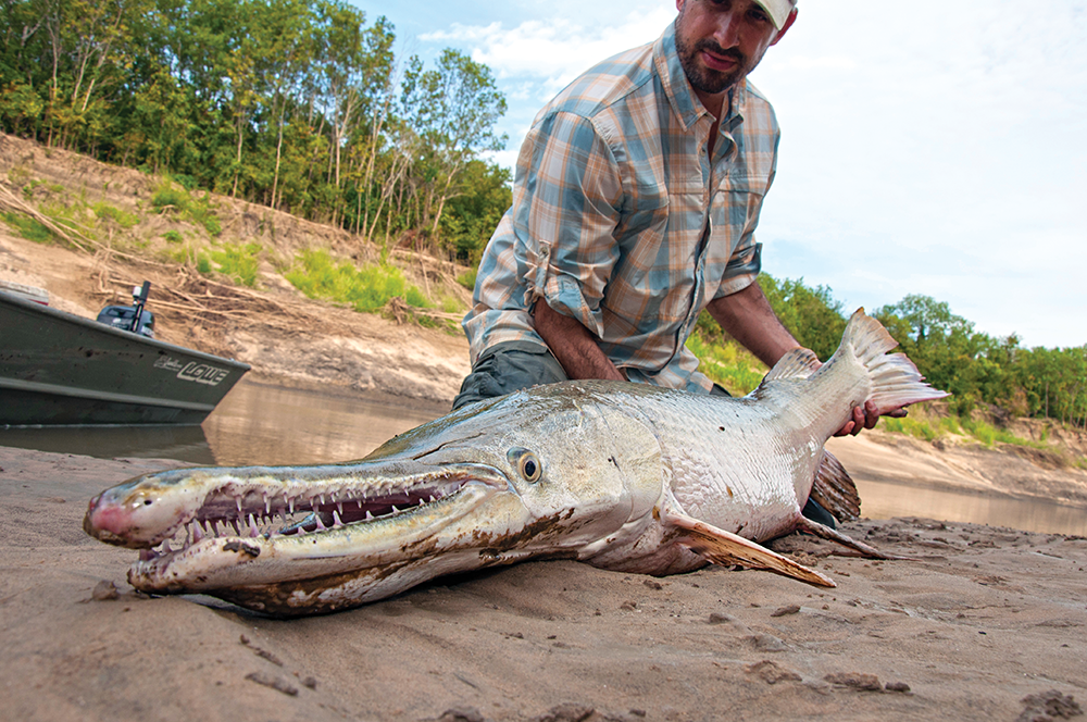 So, You Want to Catch a Monster Alligator Gar?