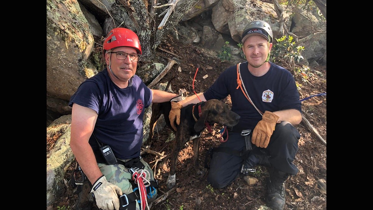 Hunting Dog Rescued From Cave by Volunteer Firefighters