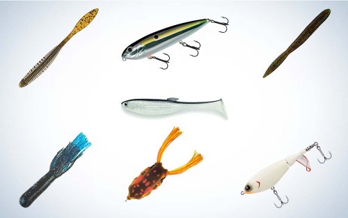 The Best Bass Lures for Summer—Picked by the Pros