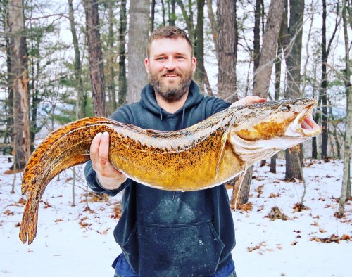 New Hampshire Ice Fisherman Catches State Record Cusk